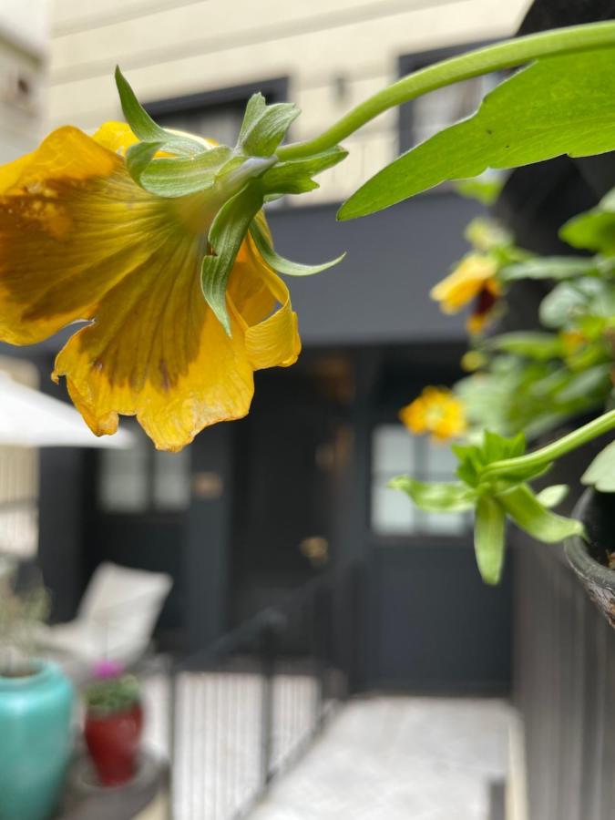 Villa Brown Tel-Aviv, A Member Of Brown Hotels المظهر الخارجي الصورة